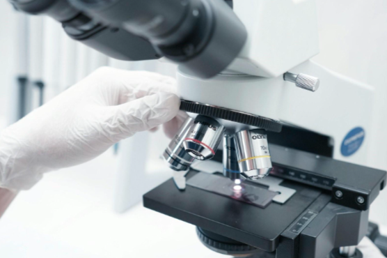 Pharma and Biotech | financialmodelshub